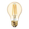 GE Lighting Vintage Style LED Light Bulbs, 6 Watts (60