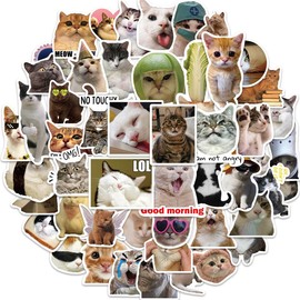 50pcs Meme Cat Stickers,Cute Cat Stickers,Waterproof Vinyl Aesthetic Decals for Water Bottles, Laptops, Scrapbooks, Skateboards - Adorable Cat Memes for Kids, Teens, and Adults