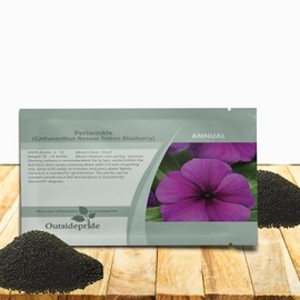 Outsidepride Blueberry Periwinkle Seeds for Planting – 100 Pcs Annual, Fast-Blooming, Heat & Drought Tolerant Vinca Flower Seeds with Vibrant Colors Ideal for Gardens, Beds, Borders & Containers