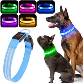 Light Up Dog Collar - BSEEN LED Dog Collar Rechargeable, Double Line Fiber Optic Reflective Dog Collar, Glow in The Dark Dog Collar Light for Night Walking (Blue, Small)