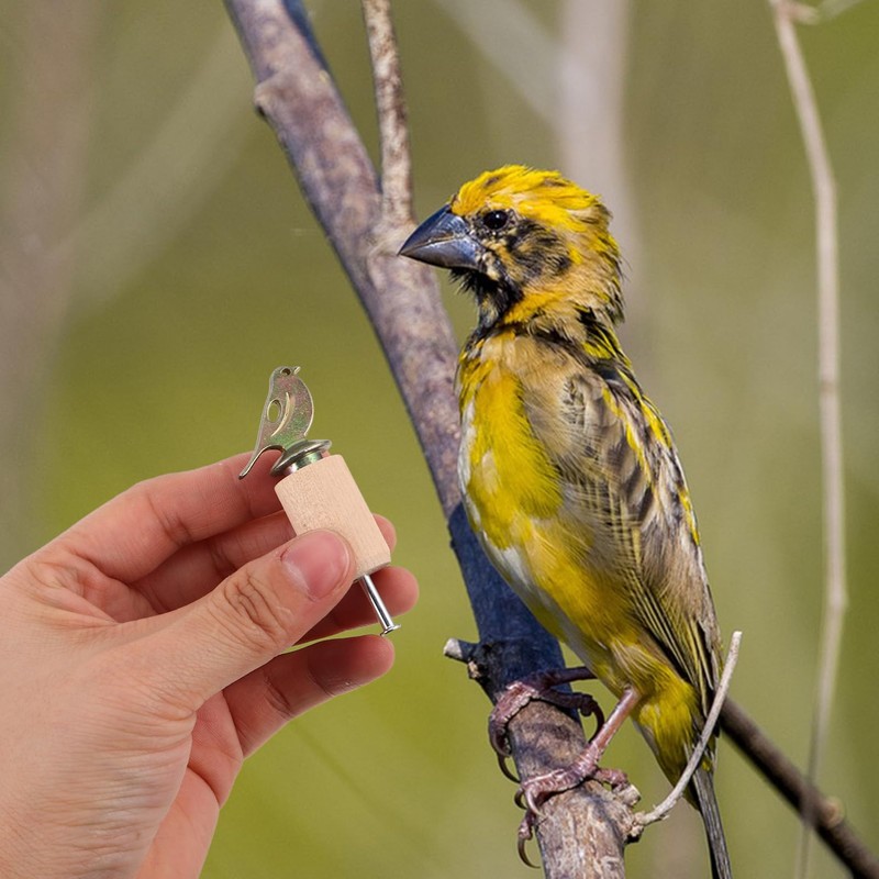 EXQUIMEUBLE 1 Juego Hand Twisted Bird Call Whistle For Practical