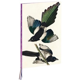 teNeues - A4 Notebook: Magpies by James Audubon, Hardcover - 230 Dot-Grid Pages with Exposed Lay Flat Binding, Three Ribbon Markers: Large Format Hardcover A4 Style Notebook with Special Features