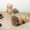 Wooden Multi-purpose Kitchen Abalone & Shellfish Cleaning Brush 01 Wooden Cleaning Brush - Brown 3ea