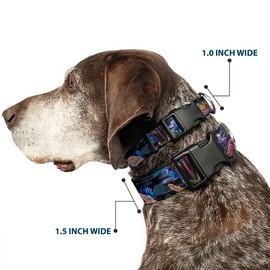 Buckle Down Collar de plástico con Hebilla, 4 Posiciones Ocultas Debajo del mar, 1/2 Pulgadas de Ancho, se Adapta a Cuello de 9 – 15 Pulgadas, Grande, Multicolor, 1/2" Wide - Fits 6-9" Neck - Small