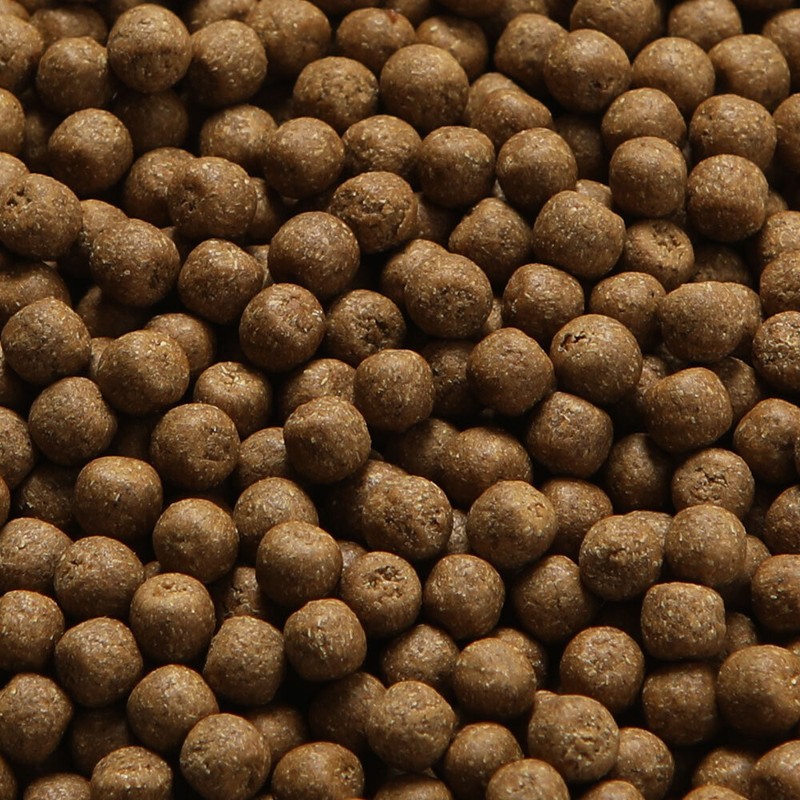 Domestic Baekchul Baekchulhwan 200g / 국내산 백출 백출환 200g