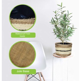 Plant Pots, Planters Indoor Plant Pot for All Home Garden Flowers Succulents Modern Round Decorative Flower Pot Indoor (Style 5)