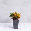 Ella Tall Planter