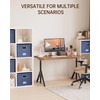Oterri File Organizer with Lid, File Box, File Cabinet for