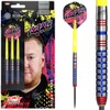 Bulls Ricky Evans 90% Steel Tip Darts 22 g
