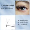 Y Eyelashes, 2D Eyelash Fans, 0.07 mm Thickness, D Curl,