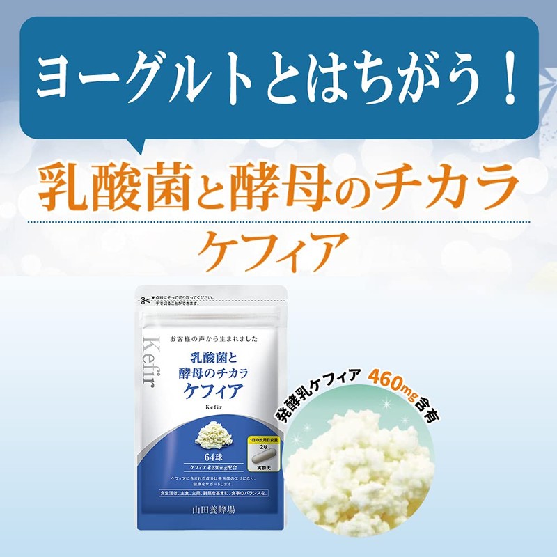 Yamada Beekeeping Farm Lactic Acid Bacteria and Yeast Chikara Kefir