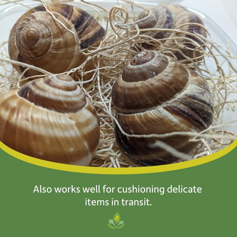 Josh's Frogs Excelsior (Makes 10 Fruit Fly Cultures) 4.6oz