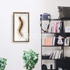 Real Centipede Millipede Scolopendra MORSITANS Taxidermy Insect in 3D Wooden