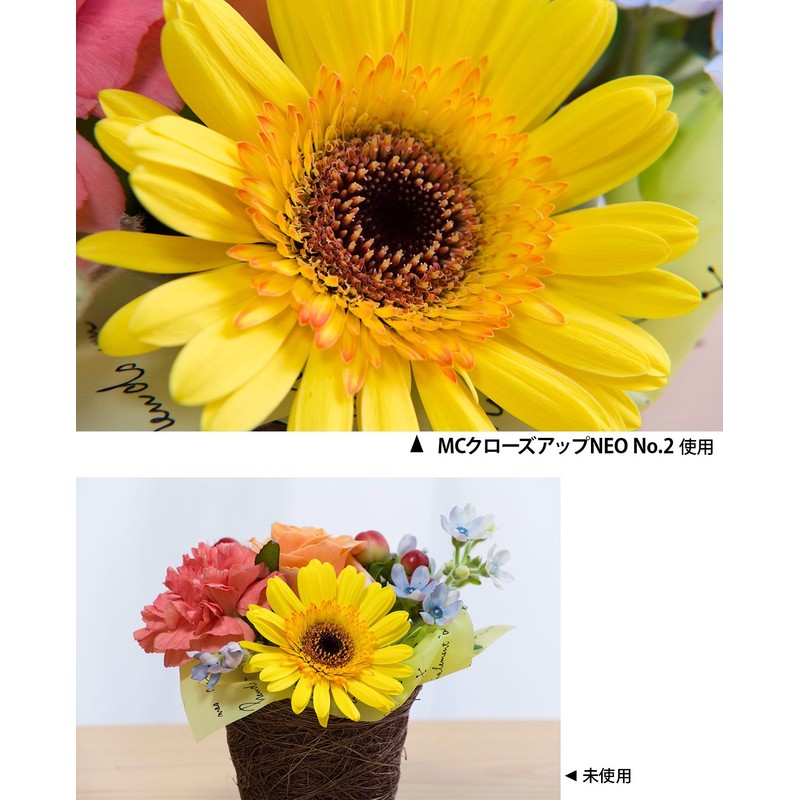 Kenko レンズフィルター MC クローズアップレンズ NEO No.2 77mm 接写撮影用 477182