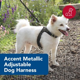 Coastal Pet Accent Metallic Adjustable Dog Harness - Adjustable Fit for Comfort with Secure Metal Buckle - Durable & Lightweight Dog Harness - Bright Black Galaxy, Small - 5/8" x 16"-20"