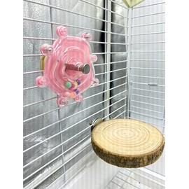 2Pcs Parrot Rotating Toy, Circular Platform Interactive Rotating Drum Parrot Toy, Birdcage Entertainment Chewing Sports Accessories, Suitable for Small and Medium-Sized Parrots (Pink)