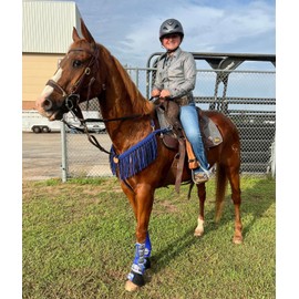 fringe breast collar paracord horse tack Black and Electric Blue