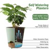 YNNICO Indoor Self Watering Planters with Drainage Holes and Saucers,