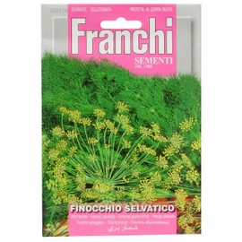 Italian Heirloom Herb - Wild Fennel