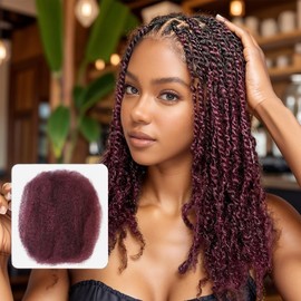 Style Icon 1 Bundle Afro Kinkys Bulk Human Hair (20", 99J) - Twist Braids - Curly Hair Extensions -Dreadlocks - Loc Braiding Hair