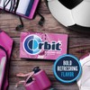 ORBIT Bubblemint Chewing Gum Sugar Free, 12 Packs of 14-Pieces