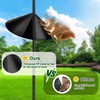 Squirrel Proof Baffle for Protecting Outside Pole Bird Feeders and