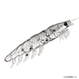Daiwa Comfortable Realistic Okiami Worm, 0.8 gal (3 L), 2.3 inches (58 mm), Pack of 5