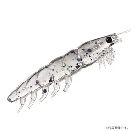 Daiwa Comfortable Realistic Okiami Worm, 0.8 gal (3 L), 2.3 inches (58 mm), Pack of 5