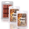 Nice Buns - Sticky Cinnamon BUN Scented Wax MELT -