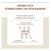 Skin1004 Madagascar Centella Probio-Cica Intensive Ampoule 50 ml