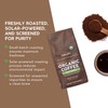 Paleovalley Organic Ground Coffee, 10oz - Decaf, Low Acid, Single-Origin,