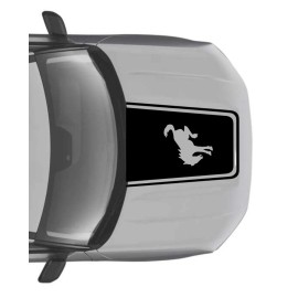 Oracal 2021+ FOR FORD BRONCO SPORT Hood Star Vinyl Graphic Decal MATTE BLACK