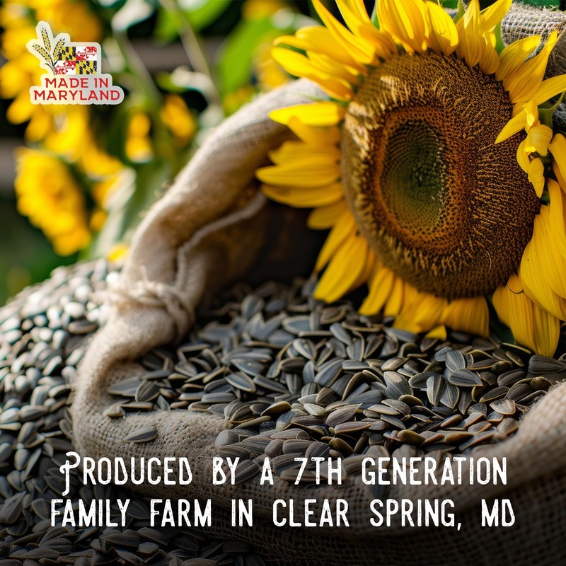 Ernst Grain & Livestock Black Oil Sunflower Seeds - Birdseed