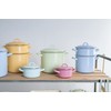Riess, 0098-006, Lid with chrome rim 18, CLASSIC - BUNT/PASTELL,