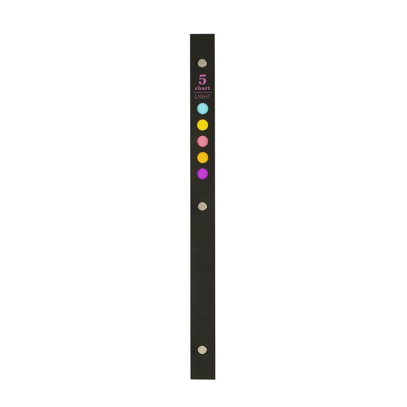 Maruman F116-05 Loose Leaf Binder B5 Five Chart, 26 Holes,