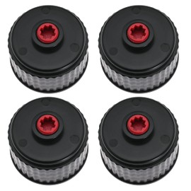 Fuels Replacement Jug Cap