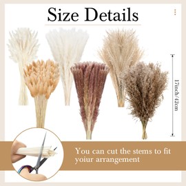 Treela 650 Pcs Dried Pampas Grass Decor Bulk 17" Dried Bunny Tail Fluffy Pompous Pampas Natural Reed Grass Bouquet Wedding Boho Dried Flowers for Home Table Party Decor(Classic)