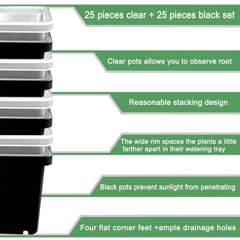 Gyfofix 2 Inch Square Plant Nursery Pots (Black+Clear),50Pcs Seedling Planter