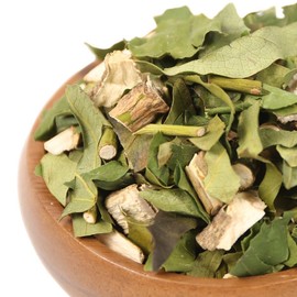 5 500g domestic Hwangchil tree leaf branches / 국산 황칠나무 잎 가지 500g 5개