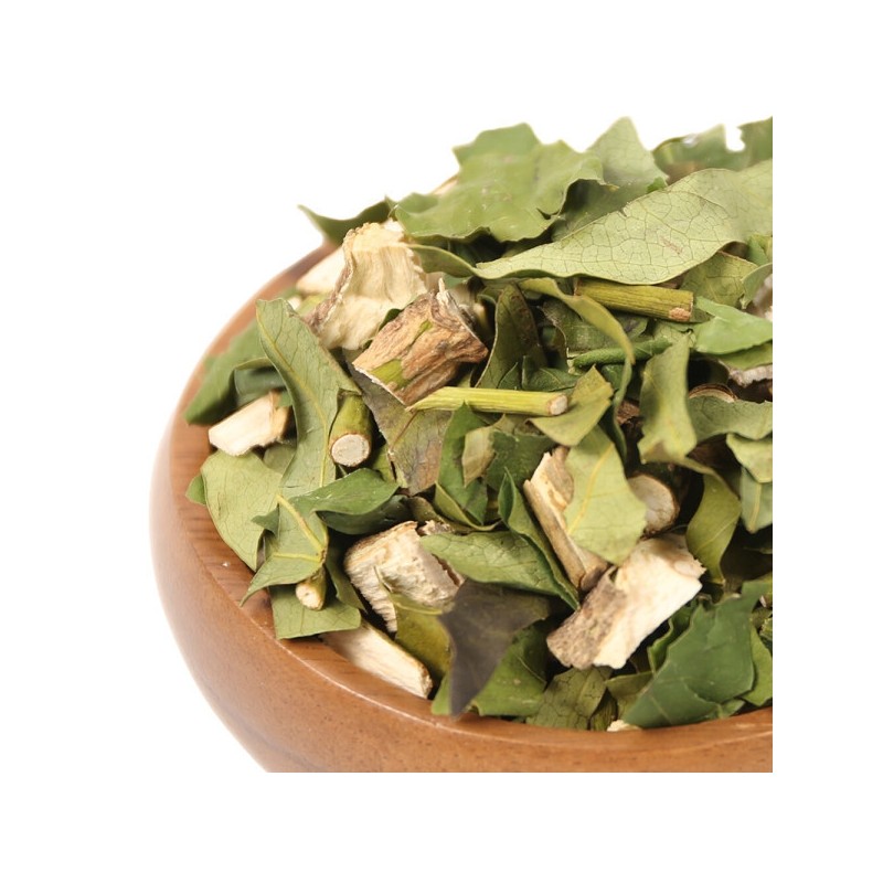 5 500g domestic Hwangchil tree leaf branches / 국산 황칠나무