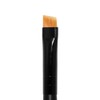 Palladio Brocha Angular Delineadora, Brocha de Maquillaje Cónica, Definición Precisa,