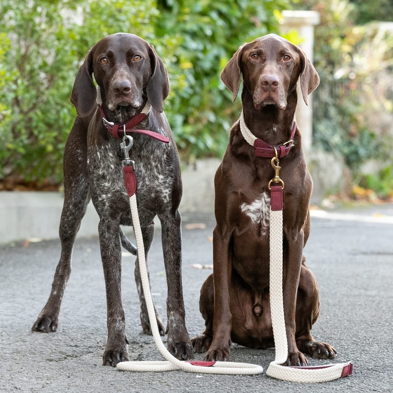 HUGO & HUDSON Luxury Dog Lead Round Rope & Leather