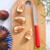 Opinel Les Essentials+ No. 312 Paring Knife, Corrosion Resistant +