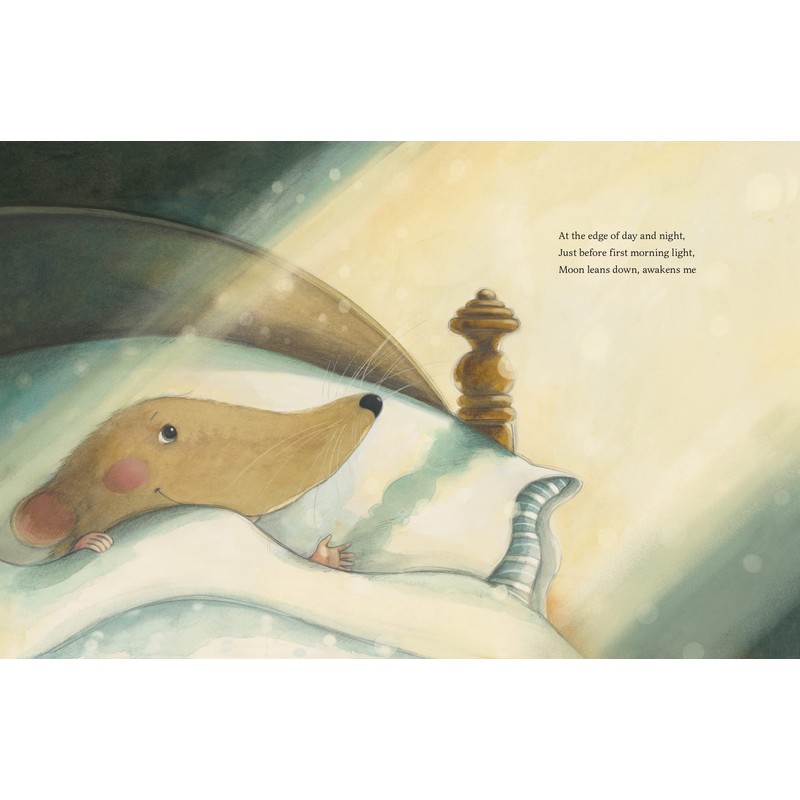 While Everyone Is Sleeping