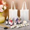 SilTriangle Tie Dye Kit Includes 12 Blank Tote Bags, 12