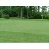 SeedRanch Creeping Bentgrass Seed - 5 Lbs.  (Plants 10,000 Sq.ft.)