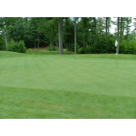 SeedRanch Creeping Bentgrass Seed - 5 Lbs.  (Plants 10,000 Sq.ft.)