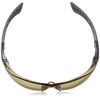 Bolle RUSHPTWI Rush Plus Platinum Twilight PC Lens Anti-Scratch Anti-Fog