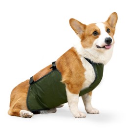 UOSIA Waterproof Pet Clothes Dog Rain Jacket Belly Cover Corgi Raincoat Dog Bellyband Breathable Anti-Dirty Puppy Outfits Doggy Raincoat Dog Belly Protector