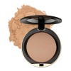 Polvo Conceal + Perfect Shine-proof Powder 05 Natural Beige